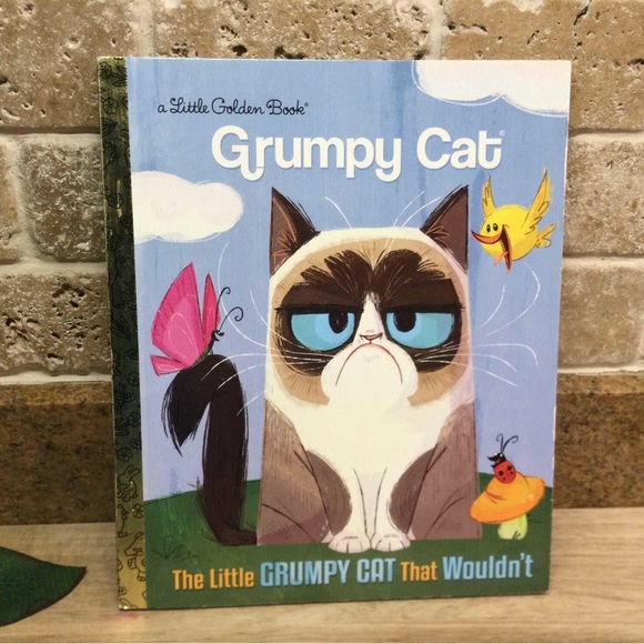 3/$20 - Grumpy Cat Book - Picture 1 of 1